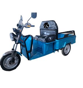 Elion S1 Tricycle électrique cabriolet à 3 roues pour le transport de marchandises Capacité de 500kg Acier Aluminium Ouvert Tricycle certifié CEE 1200-2500W - Product Image 1