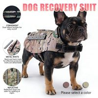 Gilet tactique isolé et résistant aux morsures pour chien, veste réfléchissante réglable avec poignée pour grands chiens, entraînement en extérieur