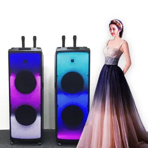 SZ-HY-213 double 12inch new arrival quality sound high capacity cool light portable speaker with wheels IFeiGift