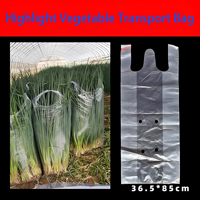 Sacs en plastique LDPE durables avec valve perforée pour l'emballage des légumes et des fruits, avec forme et taille personnalisées anti-buée