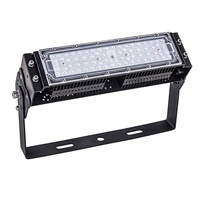 Lumière de culture LED 60 100 Watt 200W spectre complet modulaire pour plantes, éclairage d'inondation pour l'agriculture, serre, projecteur, lampes de culture