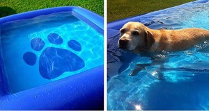 Mini <span class=keywords><strong>Blu</strong></span> Cane Gonfiabile <span class=keywords><strong>Acqua</strong></span> <span class=keywords><strong>Piscina</strong></span> Per Gli Animali Domestici - Product Image 5