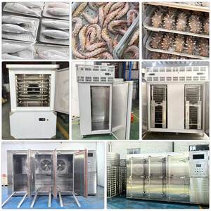 Iqf Quick Freezing Diesel Engine Small Shrimp Blast Chiller Freezer Fridge Countertop Machine for Vegetable - Product Image 2