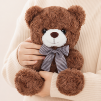 Peluche Kawaii Ours en Peluche Personnalisable avec Étiquette et Nœud – Cadeau Idéal pour Femmes et Filles