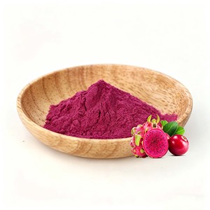 AMULYN Food Grade Vacuum Freeze Dried Red Dragon Fruit Powder Fruit <strong>Extract</strong> in Plastic Container &amp; Drum Packaging - Product Image 1