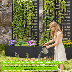 Wd Lớn Sang Trọng Mạ Kẽm Sắt Treo Dọc Vườn Trồng Box-Cổ Điển Bền Trong Nhà/Ngoài Trời Sàn Trồng Gói Mua Sắm - Product Image 4