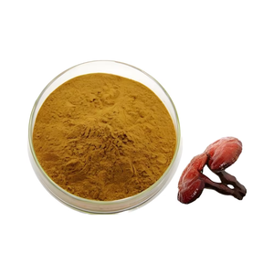 ผงสกัดเห็ดหลินจือออร์แกนิกบริสุทธิ์100% วัตถุเจือปนอาหาร - Product Image 1