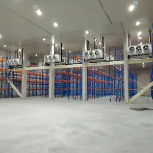 Büyük lojistik soğuk depolama odası dondurucu ekipmanları soğuk zincir lojistik depo lojistik soğuk oda sebze için yürüyüş