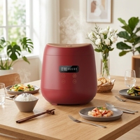 Meilleure vente Mini cuiseur à riz électrique en plastique affichage numérique minuterie fonction 3/5 tasses capacité multi-fonction Pot vapeur