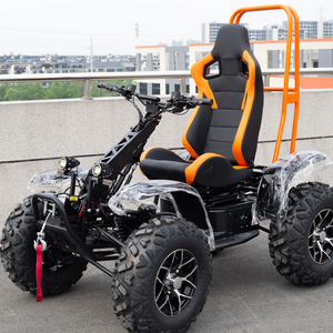 Scooter Elettrico da Esterno 6000W ad Alta Potenza, Veicolo Utilitario a 4 Ruote per Proprietari di Terreni, Agricoltori e Cacciatori - Product Image 1