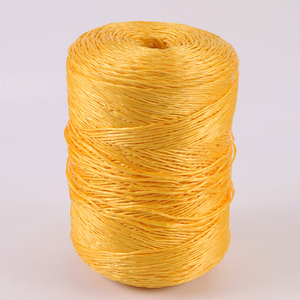 <span class=keywords><strong>2025</strong></span> nóng bán hàng tùy biến Polypropylene Baler twine rất khuyến khích <span class=keywords><strong>PP</strong></span> Baler twine - Product Image 1