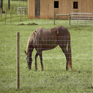 Valla de Alambre de Larga Duración para Granjas <span class=keywords><strong>Rurales</strong></span> en Australia, para Ganado y Ciervos - Product Image 2