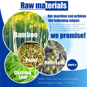 RICHI Neues Design 1-2t/h Biomasse-Pelletiermaschine für Bambus - Product Image 2