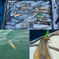 8 leurres phosphorescents pour calamar, crevettes et seiches, leurres artificiels fluorescents pour pieuvre, appâts artificiels pour eau salée