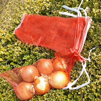 Sac en filet mono-maille de petite capacité 1kg 2kg 5kg en PE pour l'emballage de l'oignon, de l'ail et du gingembre en détail