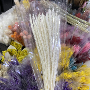 Fleur séchée Herbe de prêle Véritable fleur naturelle séchée Solidago Altissima pour arrangements Fleurs d'herbe de verge d'or - Product Image 2