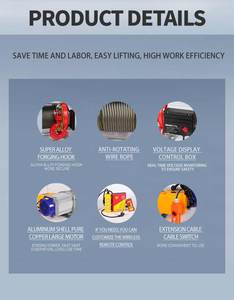 Wei <span class=keywords><strong>Shan</strong></span> 750kg 1000kg 2000kg Palăng điện với 220V hoặc 380V - Product Image 5