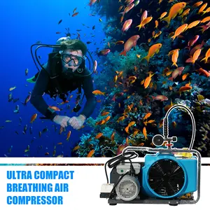 DMC en çok satan 300bar yüksek basınçlı hava kompresörü 300 bar hava kompresörü solunum hava kompresörü ve dalış için