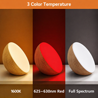 Lampe de table de chevet, chambre à coucher, design moderne, 3 couleurs changeantes, lumière tactile, télécommande, intensité réglable, rechargeable par USB, portable