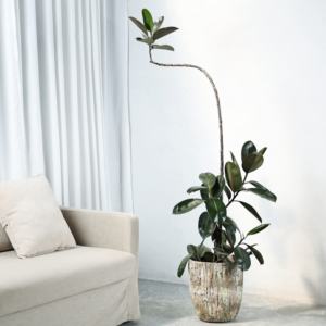 Pot de fleurs sur pied de style nordique avec motif lune créatif, grand diamètre, pour plantes vertes, design vintage - Product Image 3