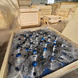 Hochpräziser ANSI B16.47 Geschmiedeter Schweiß hals flansch aus Gusseisen Große Größe KLASSE 300 TÜV-zertifiziert - Product Image 4