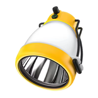 Lampe de camping LED rechargeable AA étanche IP67 Bright Bird 2026, torche lanterne avec batterie externe d'urgence en ABS