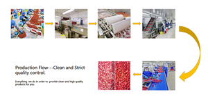 <span class=keywords><strong>Strawberry</strong></span> Fresh IQF de qualité supérieure <span class=keywords><strong>Strawberry</strong></span> Frozen Premium <span class=keywords><strong>Strawberry</strong></span> IQF Supply pour les grossistes et les distributeurs - Product Image 6