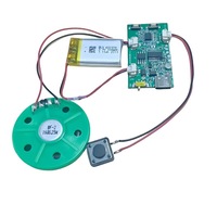 Accepter Product Design Custom PCB Design Enregistrement USB Mouvement d'enregistrement audio Mouvement de musique avec haut-parleur pour boîte