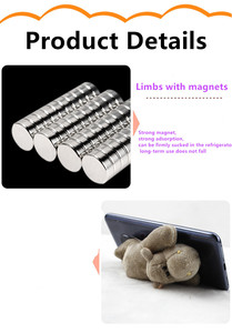 Juego de Peluches de Animales Unisex de 10 cm de Altura, León, Tigre, Conejo, Algodón Suave con Relleno de PP, Decoración Magnética para Refrigerador, Regalo para Niños y Hogar - Product Image 6