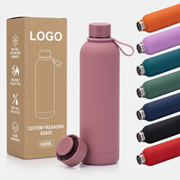 Bouteilles d'eau isothermes à double paroi sans BPA Beauchy, 500 ml, en acier inoxydable, écologiques