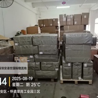 Chinas Bester Seefracht-Agent für LCL-Seefracht nach Beira/Maputo Mosambik von Chinesischen Häfen mit Kostenloser Lagerung und Konsolidierung