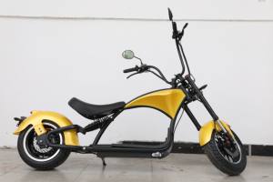 มอเตอร์ไฟฟ้าสกู๊ตเตอร์ผู้ใหญ่,1000 Watt 2000W Racing <span class=keywords><strong>Sealup</strong></span> Blade จักรยานสามล้อสำหรับตีกอล์ฟกับ Eec - Product Image 4