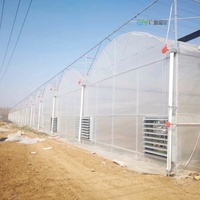 Structure de serre multi-travées en film pour projets à l'étranger – Cadres de serres de qualité commerciale pour l'agriculture