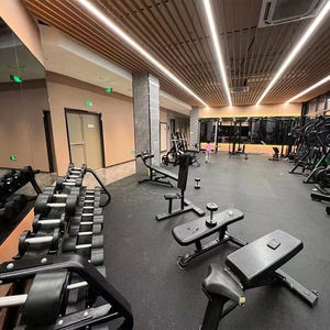 Anika Carreaux en caoutchouc de haute qualité pour gymnase professionnel commercial Revêtement de sol pour jardin - Product Image 5