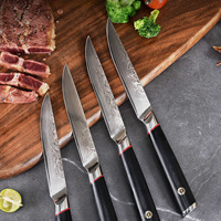Nouvelle arrivée 4 pièces 5 pouces 67 couches VG-10 couteau à steak damas ensemble de couteaux à steak ultra pointus avec poignée G10