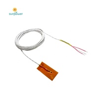 Sonde 1200c 0-1100 degrés 1mm 100mm pt100 J/T/N/K types d'assemblage capteur de température à thermocouple