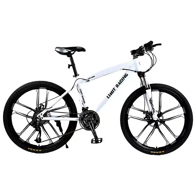 Bán Buôn 21/24/27 Tốc Độ Hấp Thụ Sốc Racing Bike Khung Mountainbike 26 Inch Xe Đạp Carbon Thép Cho Người Lớn Biểu Tượng Tùy Chỉnh