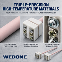 Thermocouple Platine-Rhodium Industriel Compact de Type S Wedone WRP-100 0-1600°C avec Sonde en Alumine à 99% pour Four à Moufle Type R B