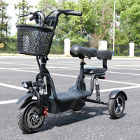 Nouveau Style 36V 48V vélo pliant électrique unisexe alliage aluminium ville vélo scooter avec 3 roues
