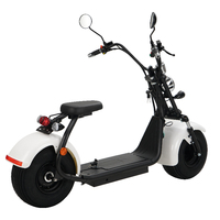 Fabrika doğrudan EEC COC Moped Monopattino Patinete Electrico itme skuter elektrikli motosiklet Citycoco Scooter C01A
