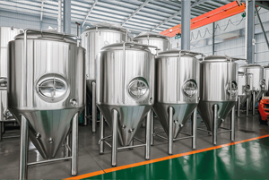 Unitanks Coniques en Acier Inoxydable 200L 500L 1000L 5000L pour Fermentation Artisanale de Bière (FV CCT CKT) – Personnalisables – Ts-100L Cidre - Product Image 2