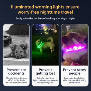 Modisches Günstiges Wiederaufladbares LED-Leuchthalsband für Hunde Nachtspaziergang Sicherheits-LED-Hundehalsband - Product Image 4