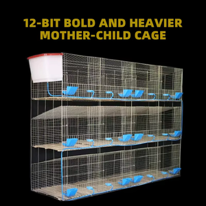 Grande Ferme Cage Galvanisée <span class=keywords><strong>pour</strong></span> Lapins Élevage de Lapins Cages Durables Offertes à la Vente - Product Image 6