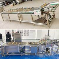 Fraise propre automatique industrie commerciale pomme lavage fruits légumes laveuse machine et ligne de production à vendre