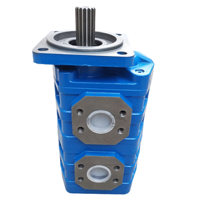 Bombas de Engranajes y Bombas de Aceite de Alta Presión Serie CBGJ de Hansen (23MPa 65KW) para Maquinaria de Construcción - Repuestos Personalizables - Product Image 3