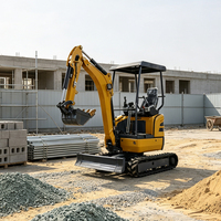 Mini-excavatrice sur chenilles TP20, prix usine, 2 tonnes, certifiée EPA CE, petite, plus grande que la 2000 kg, micro-excavatrice hydraulique avec cabine climatisée