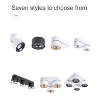 Spot LED de plafond orientable anti-éblouissement, montage en surface, rotation à 360 degrés, aluminium, 12W, CRI 90, Bridgelux, garantie 3 ans