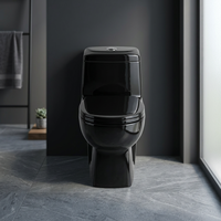 Ensemble de salle de bain une pièce de couleur noire, toilettes, Commode, piédestal, lavabo, accessoires, articles sanitaires en céramique, produit en pierre, WC, Offre Spéciale