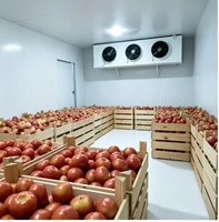 Chambre froide de haute qualité pour la conservation des fruits de mer, système de réfrigération et de congélation, chambre froide à plain-pied, la plus vendue