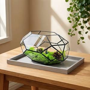 Mini serre créative en verre pour plantes, boîte de propagation pour plantes succulentes, terrarium miniature en <span class=keywords><strong>bouteille</strong></span> pour micro-paysages et mousse - Product Image 5